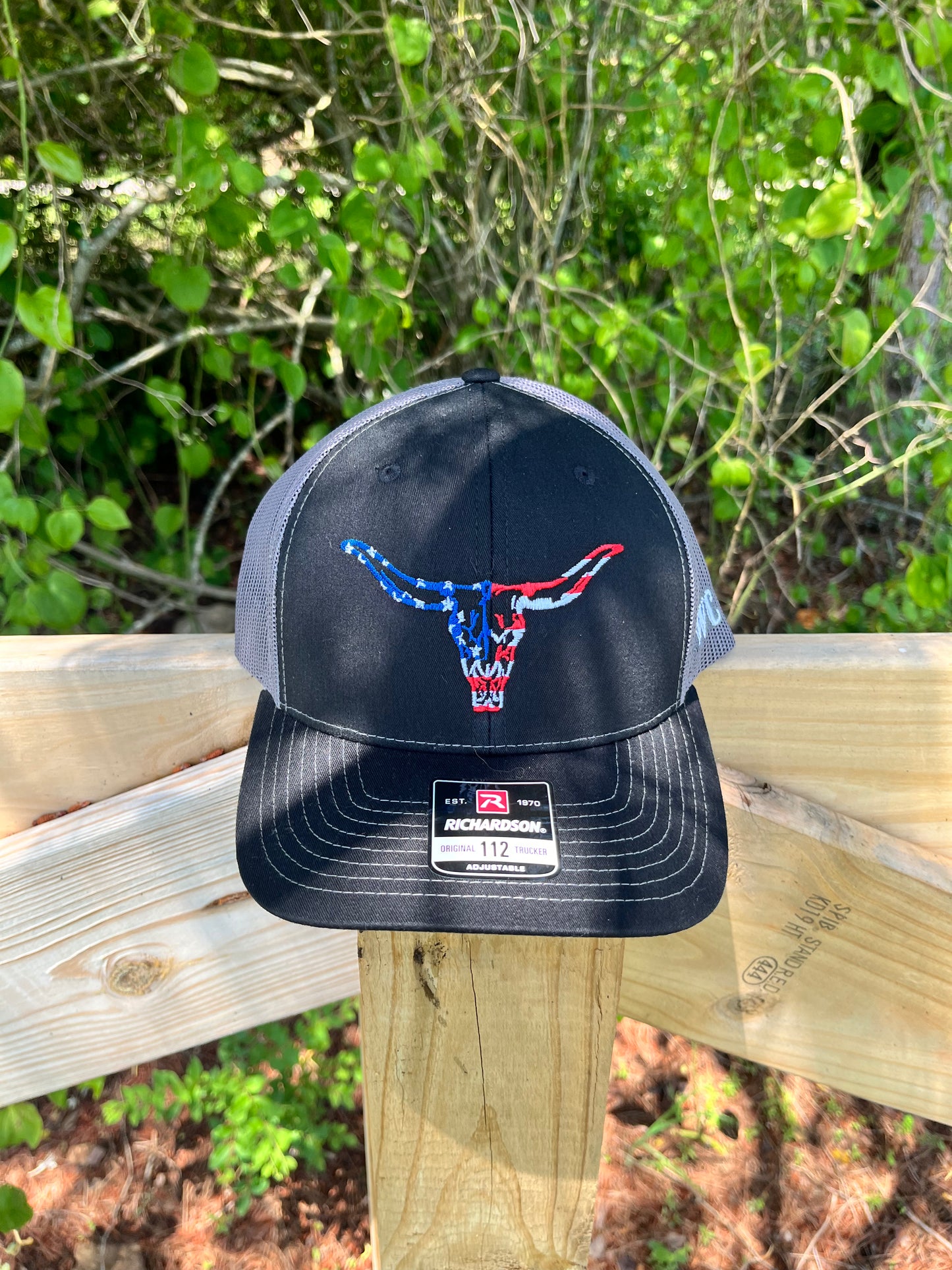 Patriotic Longhorn