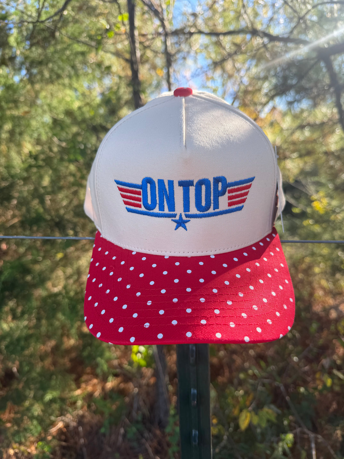 On Top Hat - Polka Dot