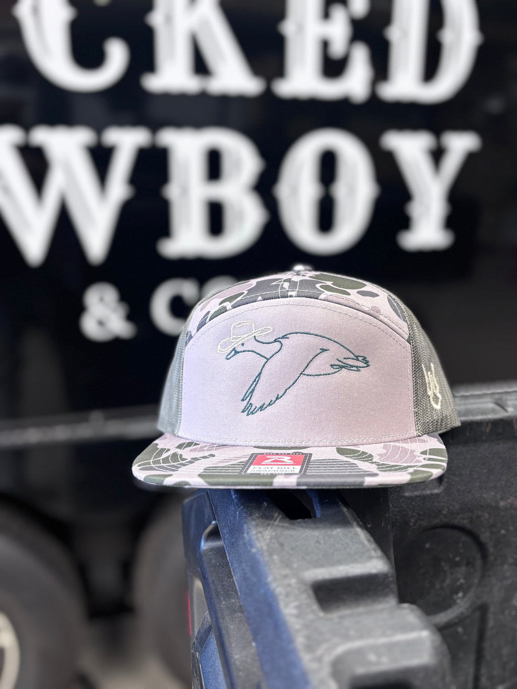Duck Cowboy